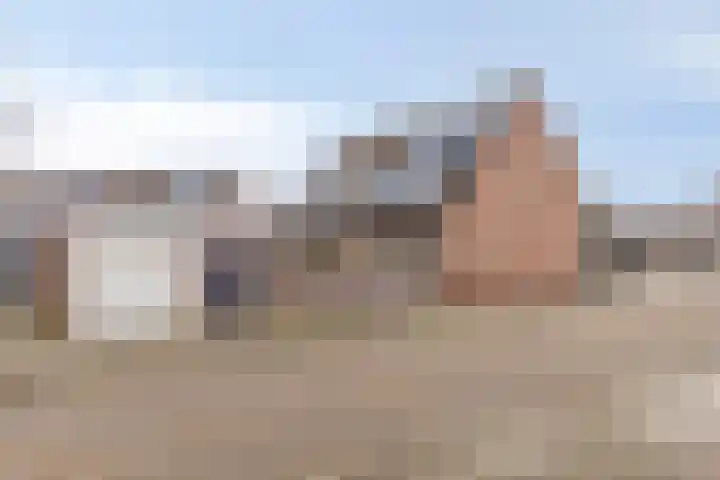 De Backerstraat 54 Poeldijk thumbnail 8