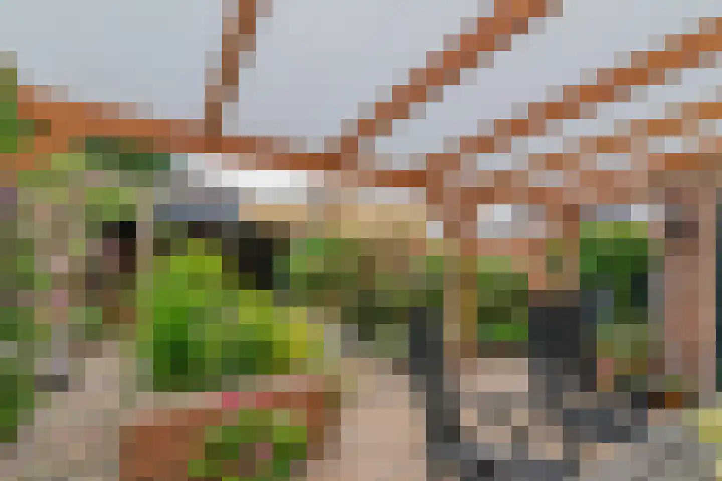 De Backerstraat 58 Poeldijk thumbnail 15
