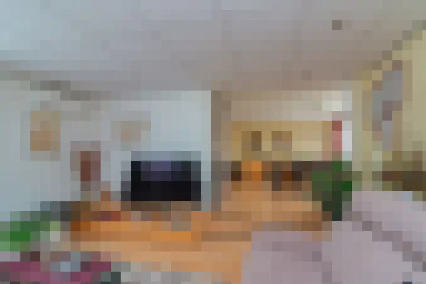 De Backerstraat 58 Poeldijk thumbnail 5