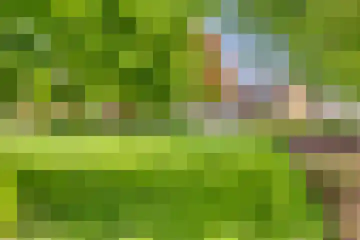De Bak 12 Eijsden thumbnail 33