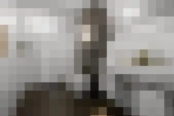 De Bakkerij 2 Wormer thumbnail 17
