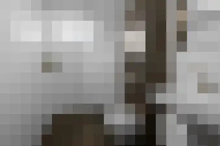 De Bakkerij 2 Wormer thumbnail 19