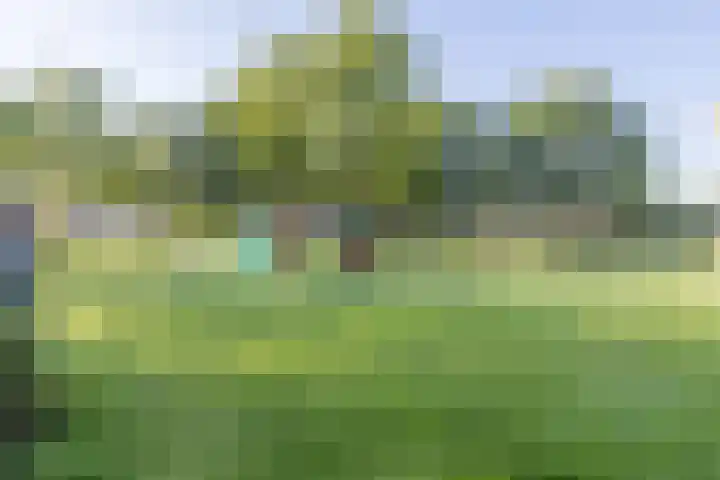 De Bakkerij 2 Wormer thumbnail 31