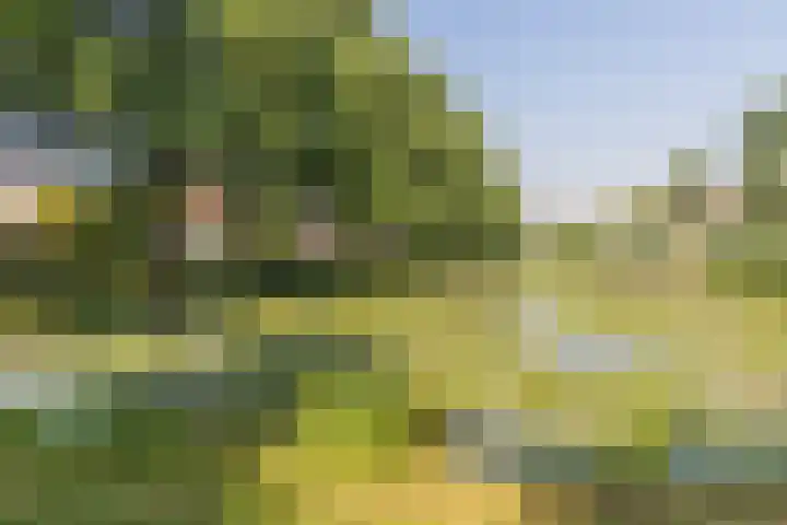 De Bakkerij 2 Wormer thumbnail 32