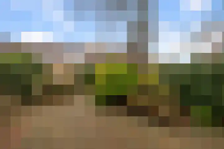 De Bakkerij 2 Wormer thumbnail 9