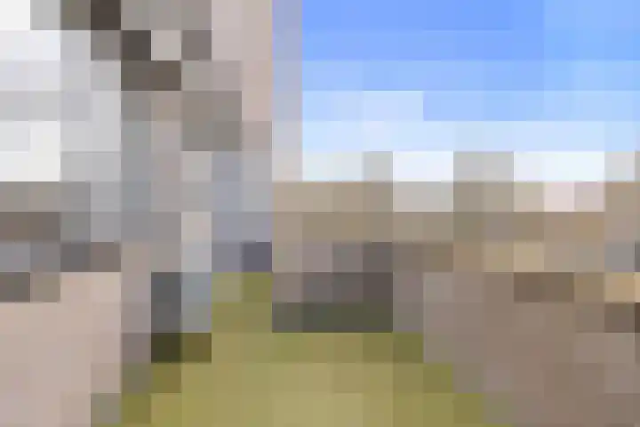 de Balmerd 219 Beuningen Gld thumbnail 10