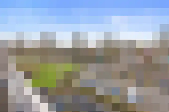 de Balmerd 219 Beuningen Gld thumbnail 11