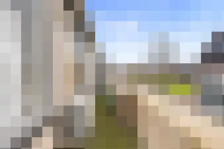 de Balmerd 219 Beuningen Gld thumbnail 18