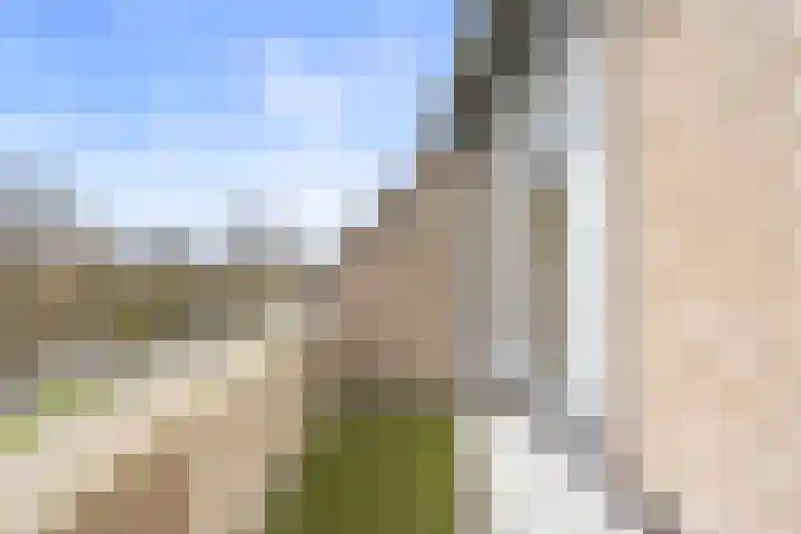 de Balmerd 219 Beuningen Gld thumbnail 19
