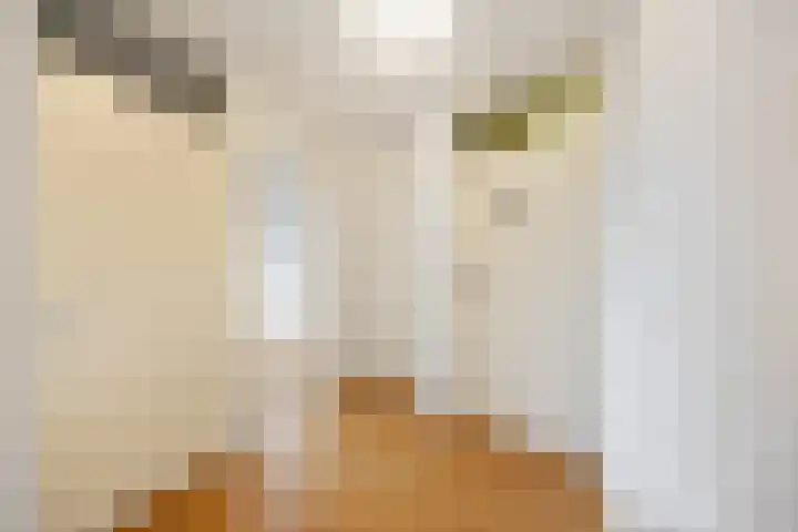 de Balmerd 219 Beuningen Gld thumbnail 33