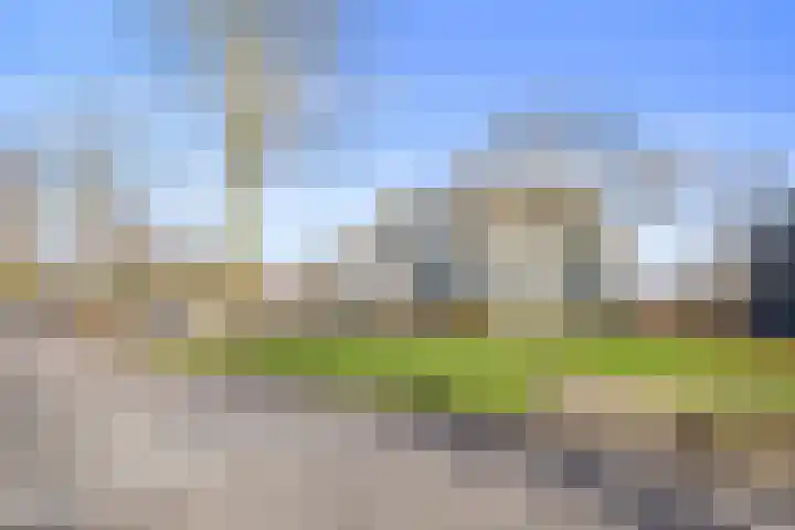 de Balmerd 219 Beuningen Gld thumbnail 41