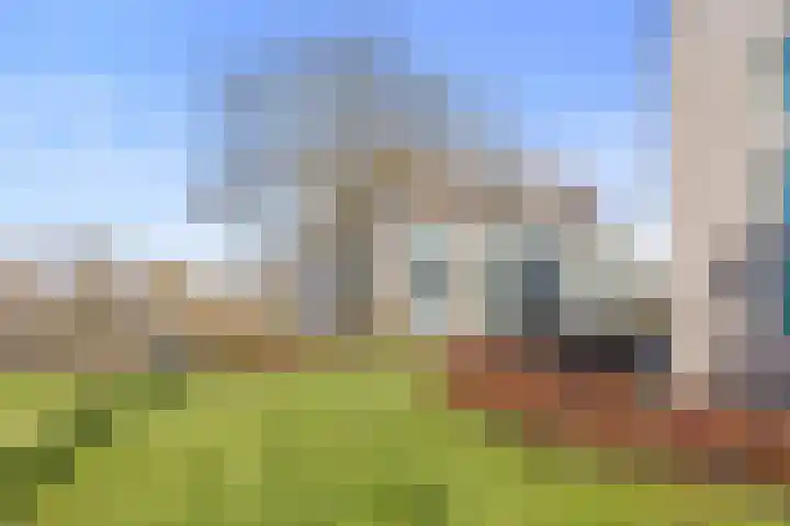 de Balmerd 219 Beuningen Gld thumbnail 42