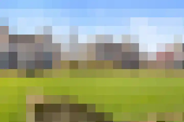 de Balmerd 219 Beuningen Gld thumbnail 45