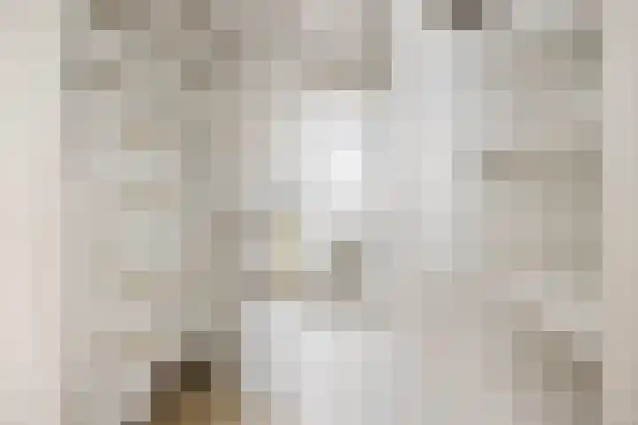 de Balmerd 219 Beuningen Gld thumbnail 7