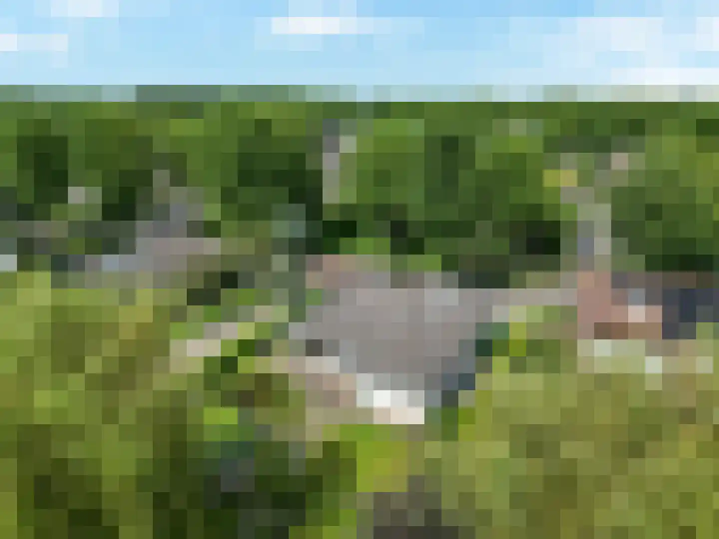 de Balmerd 28 Beuningen Gld thumbnail 28