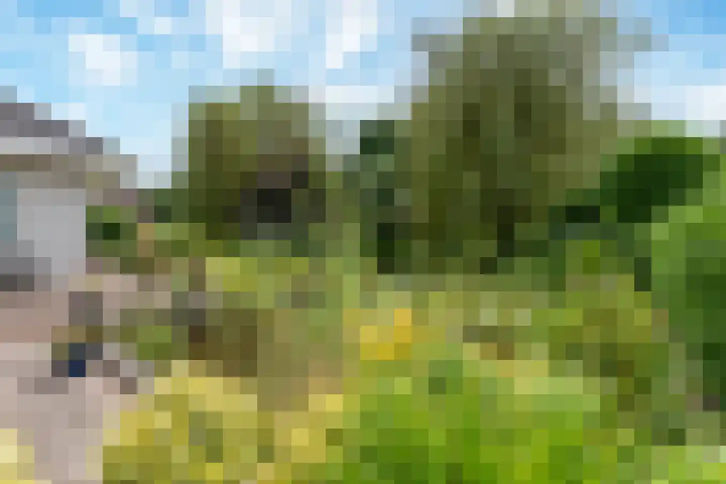 de Balmerd 28 Beuningen Gld thumbnail 30