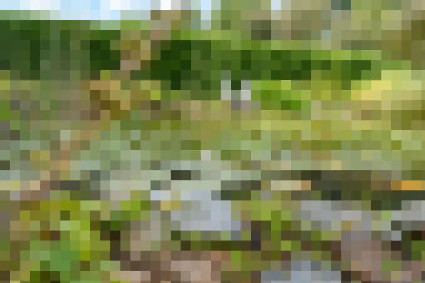 de Balmerd 28 Beuningen Gld thumbnail 31