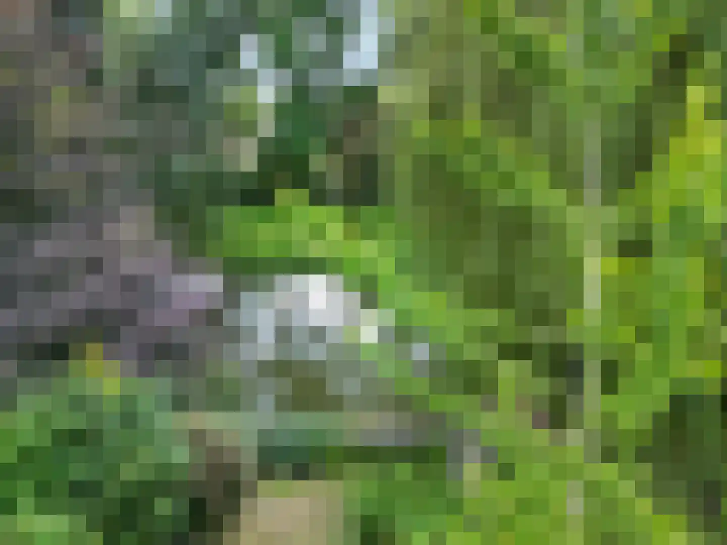 de Balmerd 28 Beuningen Gld thumbnail 35