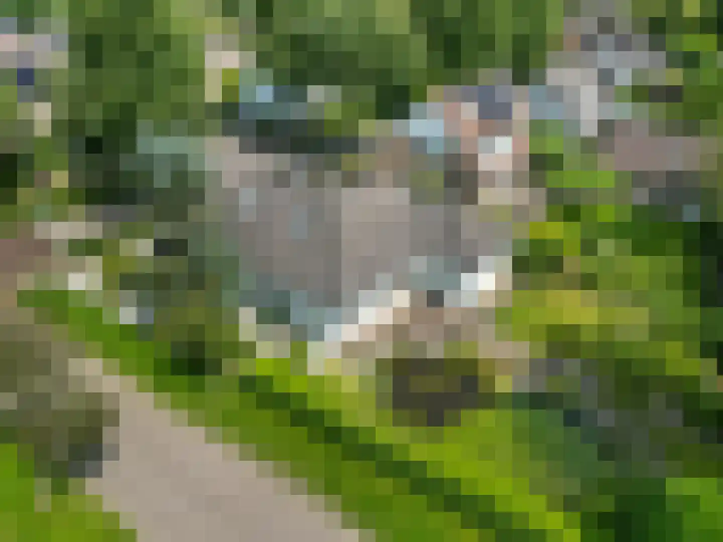 de Balmerd 28 Beuningen Gld thumbnail 37