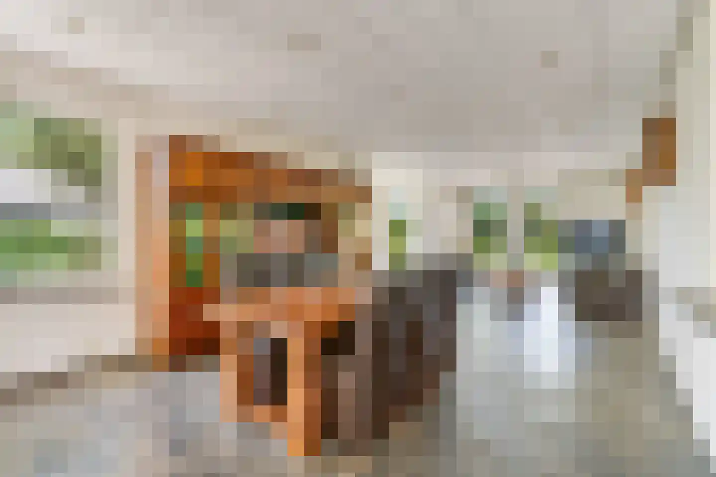 de Balmerd 28 Beuningen Gld thumbnail 8