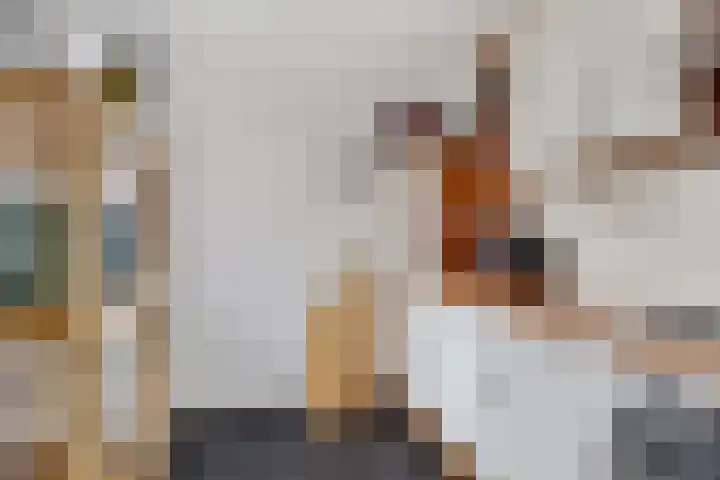De Bân 12 Ureterp thumbnail 14