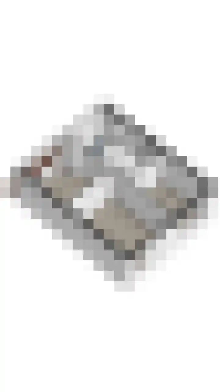 De Bân 12 Ureterp thumbnail 19