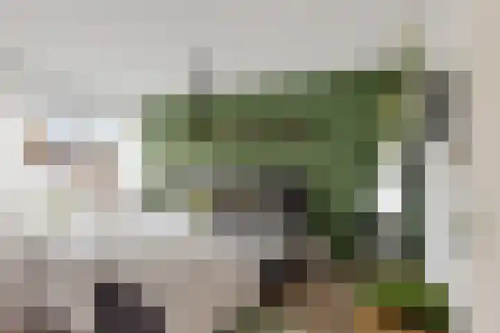 De Bân 12 Ureterp thumbnail 24