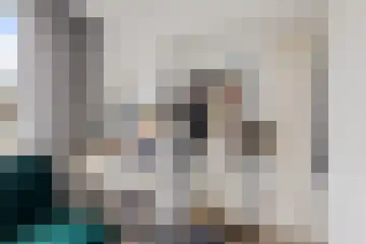 De Bân 12 Ureterp thumbnail 29