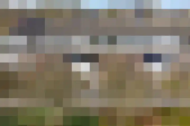 De Bân 12 Ureterp thumbnail 40