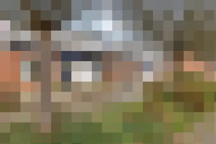 De Bân 12 Ureterp thumbnail 43