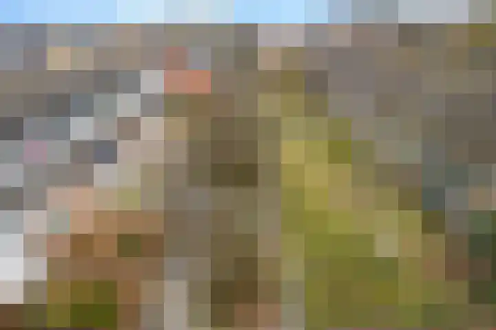 De Bân 12 Ureterp thumbnail 45
