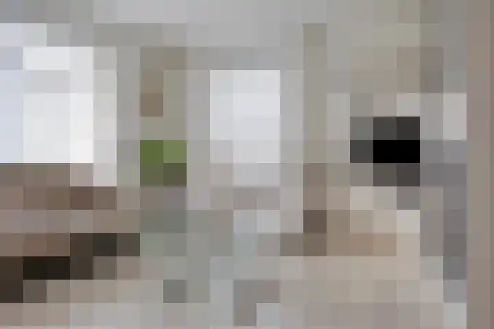 De Band 49 Lith thumbnail 10