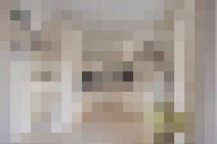 De Band 49 Lith thumbnail 16