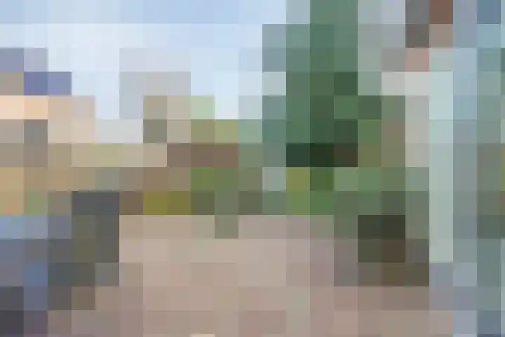 De Band 49 Lith thumbnail 22