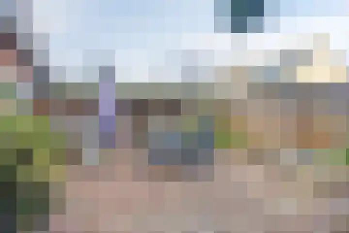 De Band 49 Lith thumbnail 23
