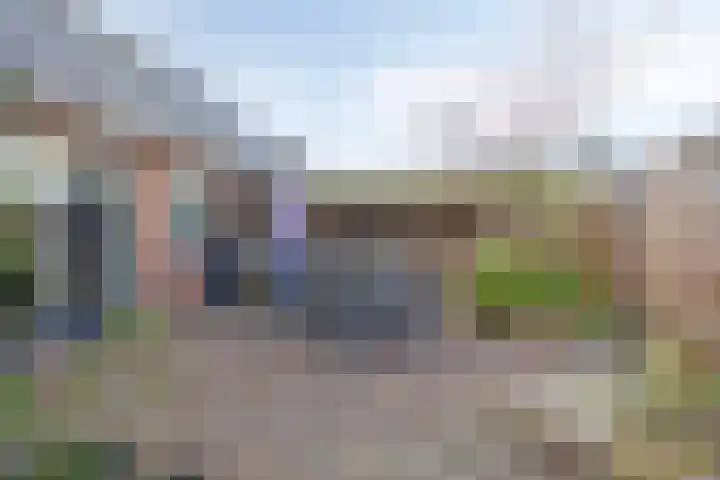 De Band 49 Lith thumbnail 24