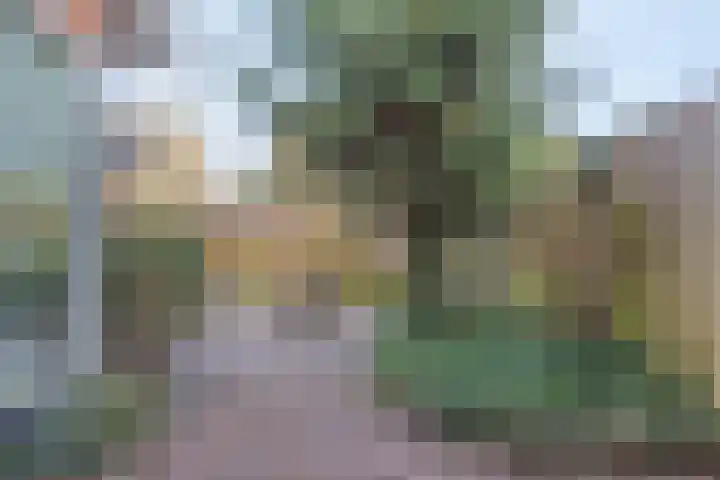 De Band 49 Lith thumbnail 26