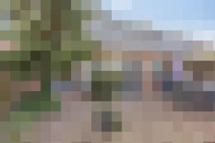 De Band 49 Lith thumbnail 4
