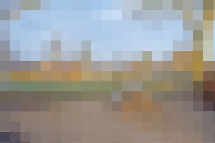 De Band 49 Lith thumbnail 47