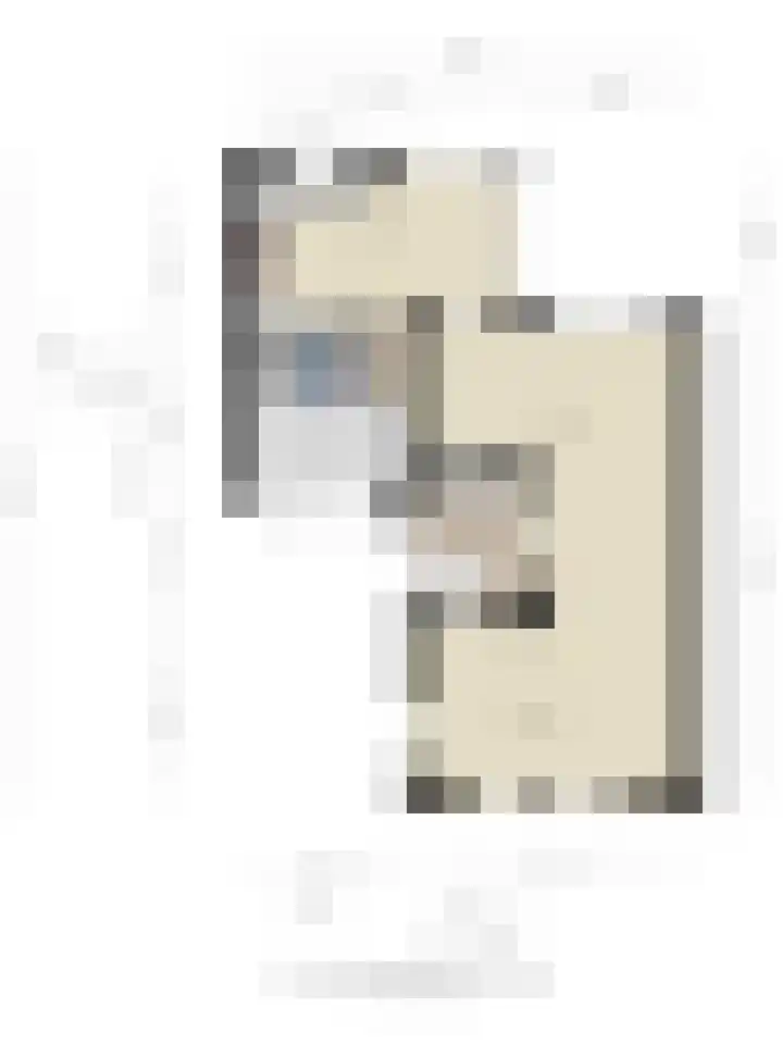 De Band 49 Lith thumbnail 48