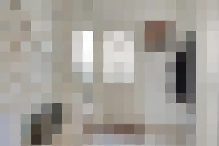 De Band 49 Lith thumbnail 7