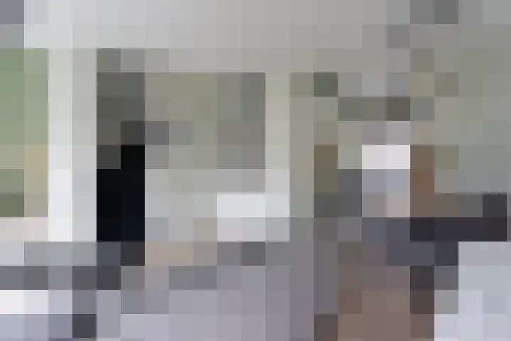 De Band 59 Lith thumbnail 11