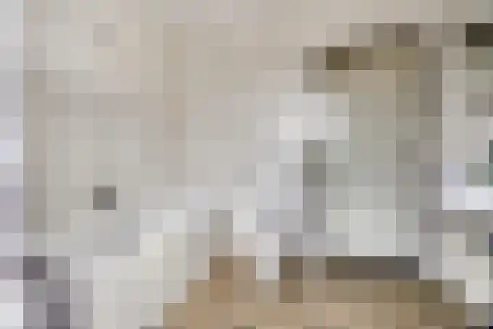 De Band 59 Lith thumbnail 16
