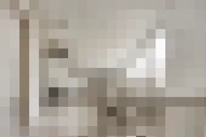 De Band 59 Lith thumbnail 19