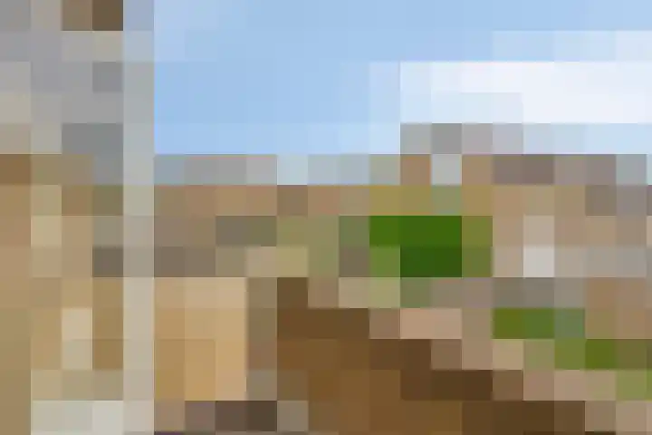 De Band 59 Lith thumbnail 20