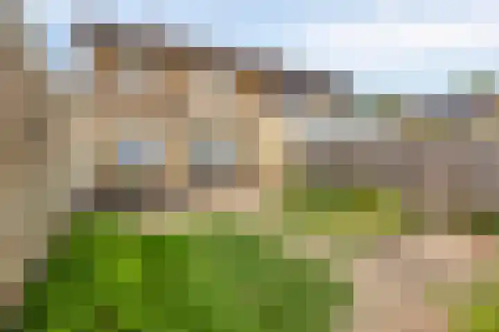 De Band 59 Lith thumbnail 22