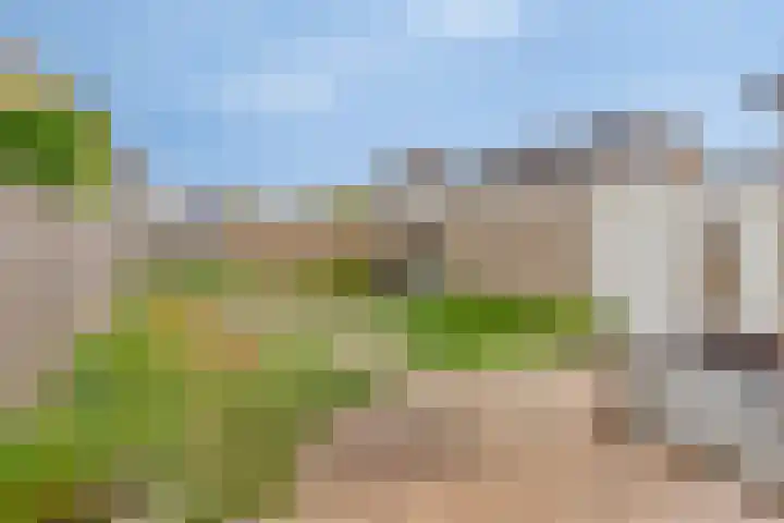 De Band 59 Lith thumbnail 23