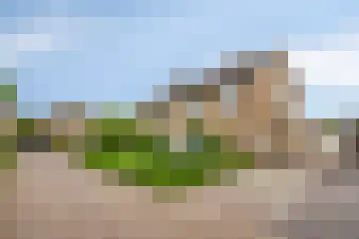 De Band 59 Lith thumbnail 24