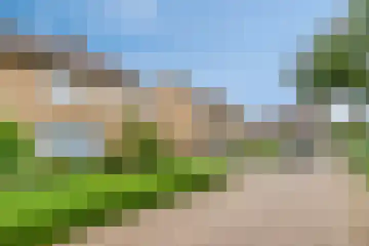 De Band 59 Lith thumbnail 25