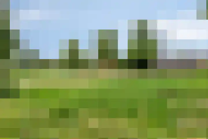 De Band 59 Lith thumbnail 26